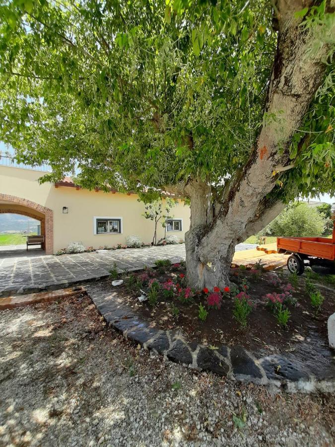 B&B Tenuta San Michele Capaccio Esterno foto