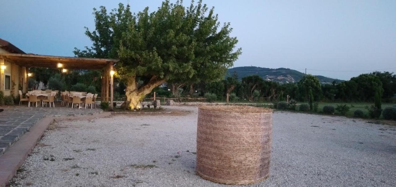 B&B Tenuta San Michele Capaccio Esterno foto