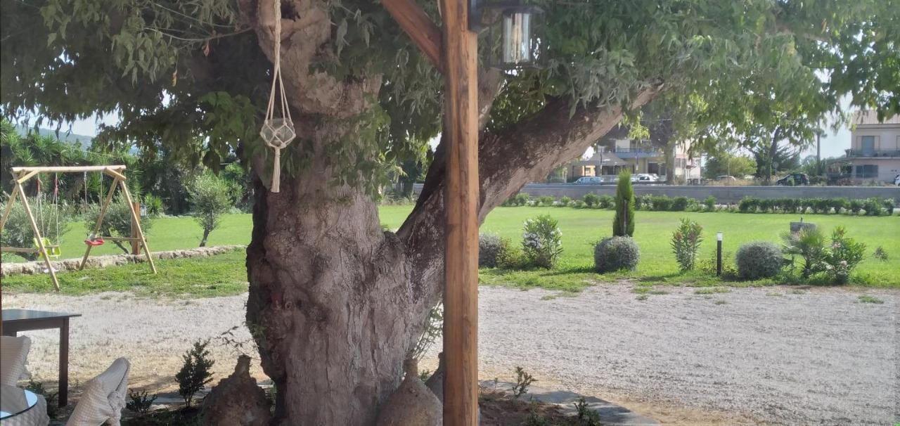 B&B Tenuta San Michele Capaccio Esterno foto
