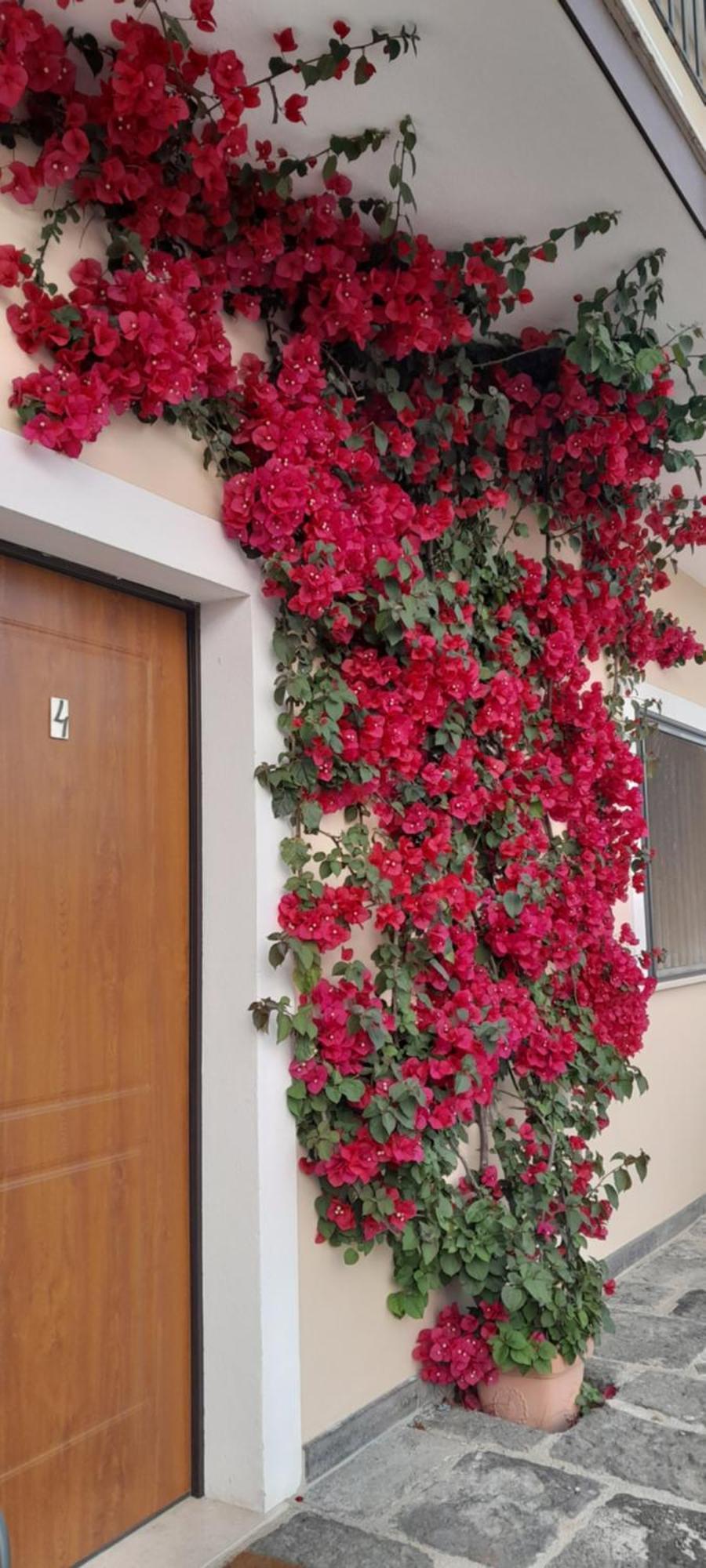 B&B Tenuta San Michele Capaccio Esterno foto